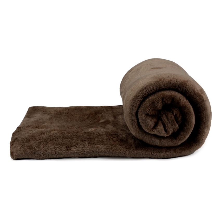 Plain Coral Fleece Blanket B2021