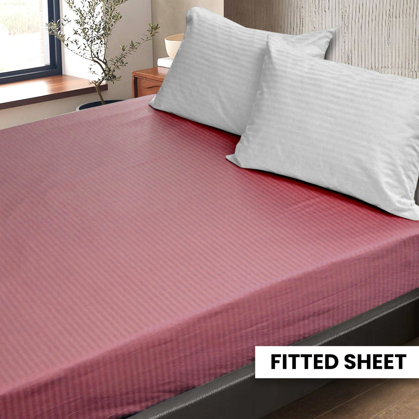 Plain Bedsheet Fitted Sheet and 2 Pillowcases - Queen Size
